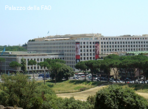 La fame, tragedia devastante e ingiusta, arma di guerra. Il Messaggio di Leone XIV alla FAO